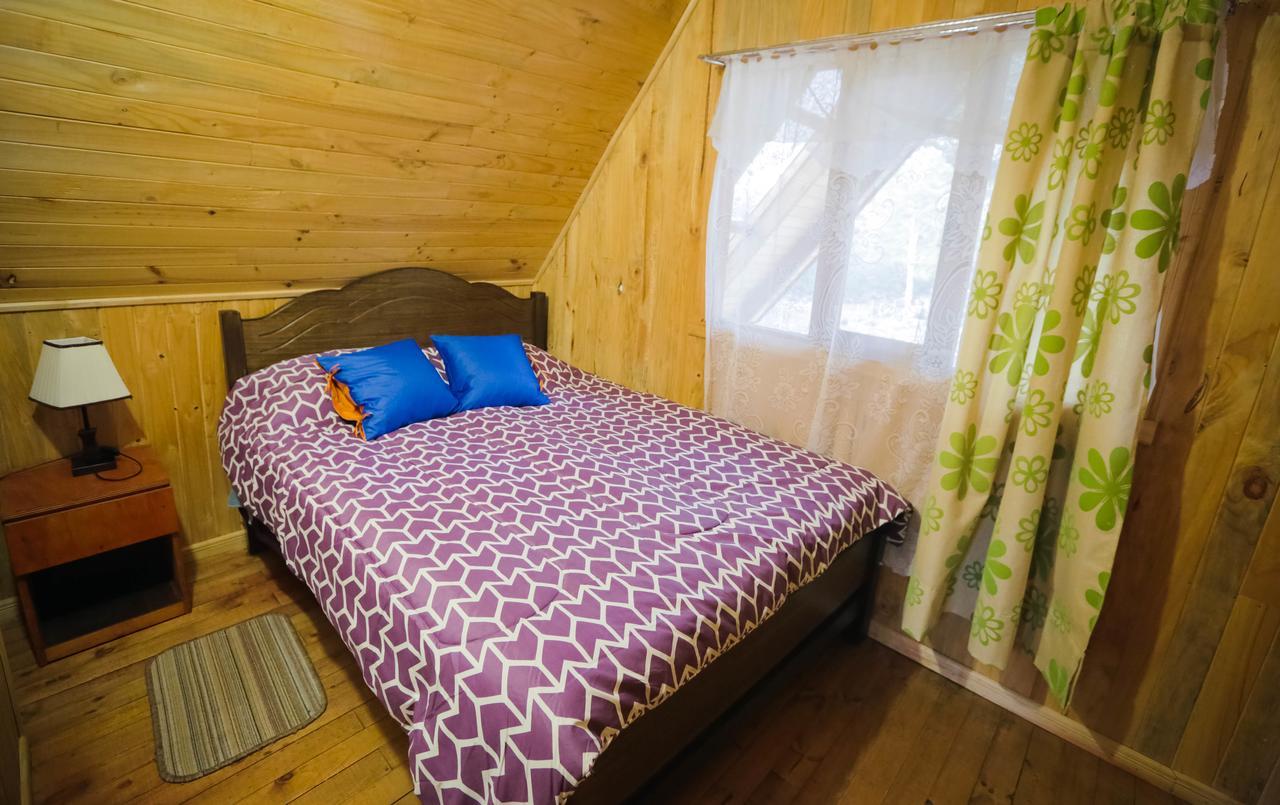 Curacautín Llaima Campヴィラ エクステリア 写真